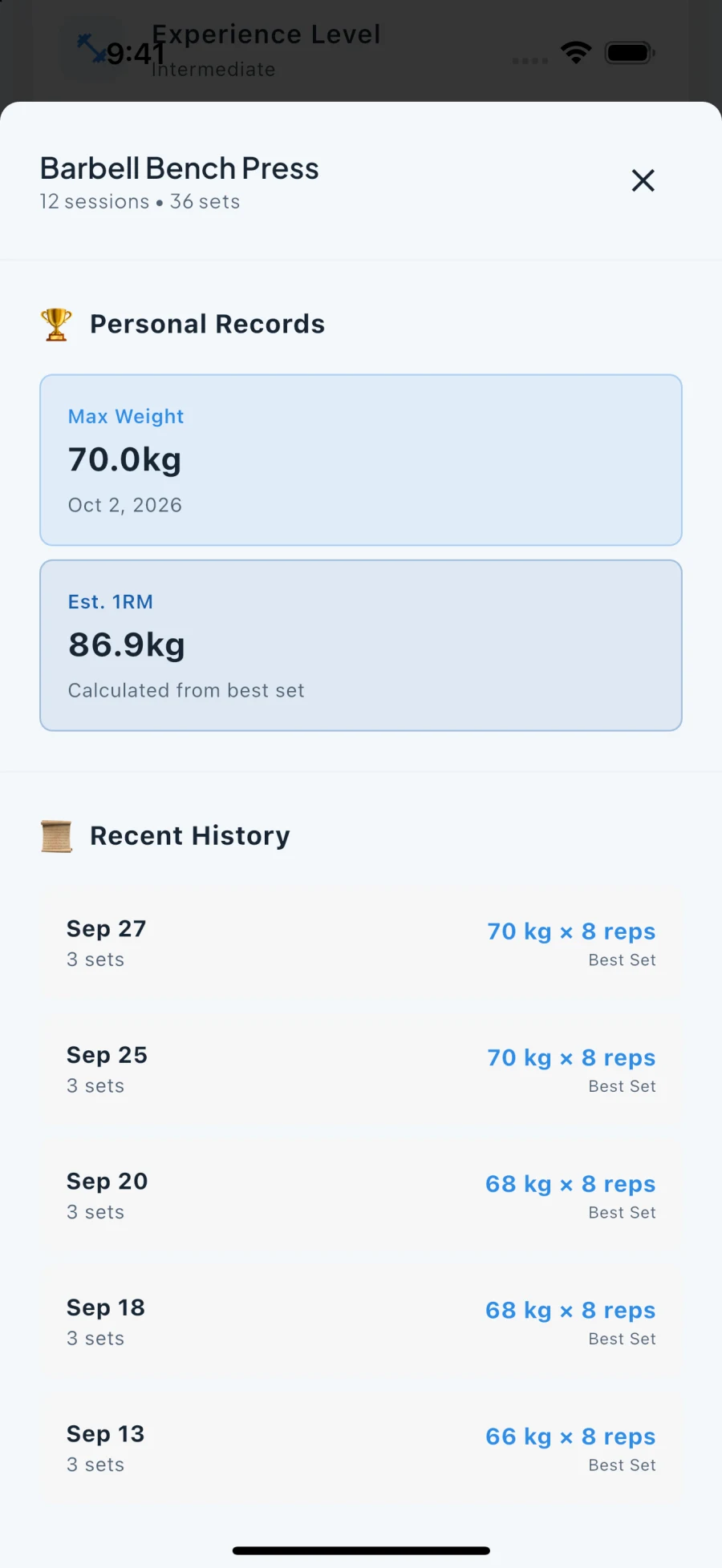Fit Snap strength progression showing training history and records